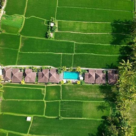 Intan Villa & Suite Ubud Exterior foto