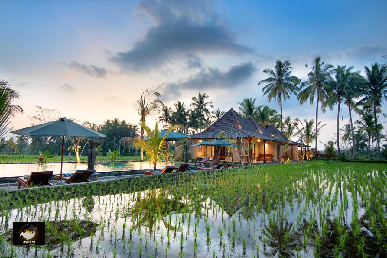Intan Villa & Suite Ubud Exterior foto